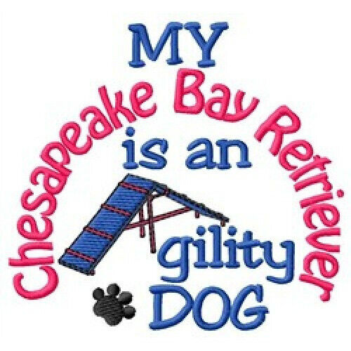 My Chesapeake Bay Retriever Is An Agility Dog Ladies T-shirt - Dc1882l
